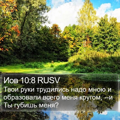Иов 10:8 RUSV Bible Verse Image