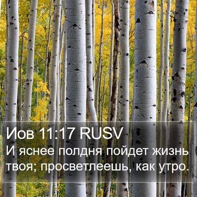 Иов 11:17 RUSV Bible Verse Image