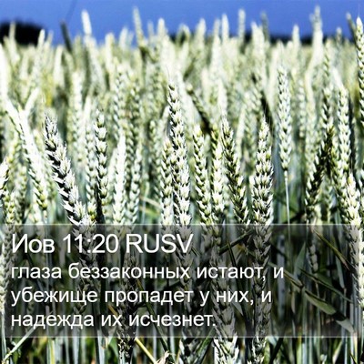 Иов 11:20 RUSV Bible Verse Image