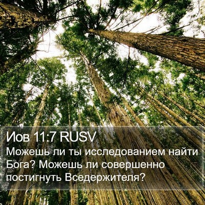 Иов 11:7 RUSV Bible Verse Image
