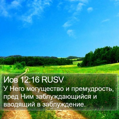 Иов 12:16 RUSV Bible Verse Image