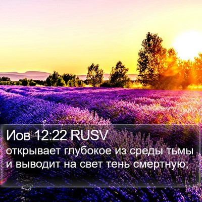 Иов 12:22 RUSV Bible Verse Image