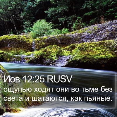 Иов 12:25 RUSV Bible Verse Image