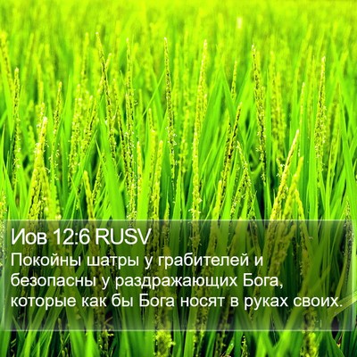 Иов 12:6 RUSV Bible Verse Image