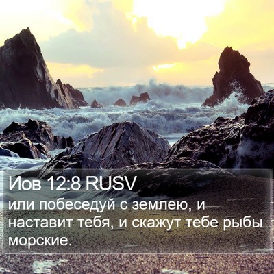Иов 12:8 RUSV Bible Verse Image