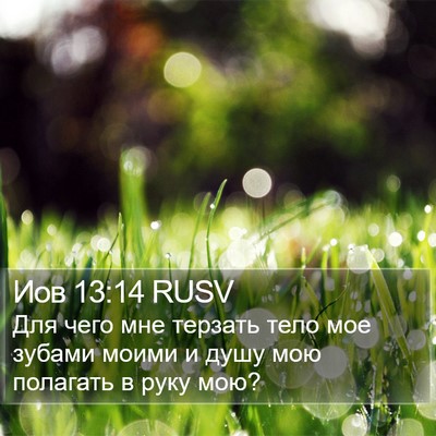 Иов 13:14 RUSV Bible Verse Image