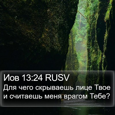 Иов 13:24 RUSV Bible Verse Image