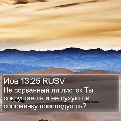 Иов 13:25 RUSV Bible Verse Image