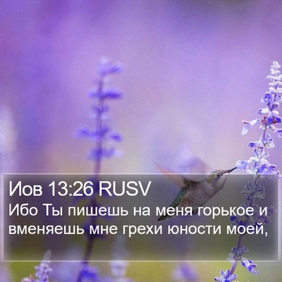 Иов 13:26 RUSV Bible Verse Image