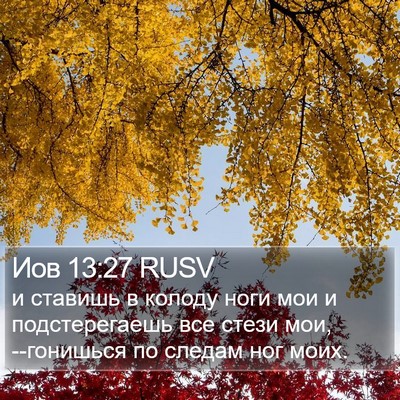 Иов 13:27 RUSV Bible Verse Image
