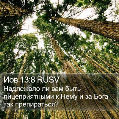 Иов 13:8 RUSV Bible Verse Image