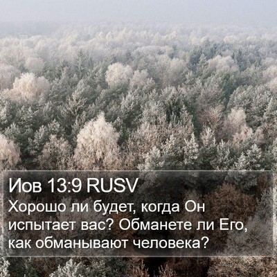 Иов 13:9 RUSV Bible Verse Image
