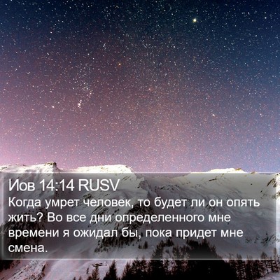 Иов 14:14 RUSV Bible Verse Image