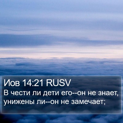 Иов 14:21 RUSV Bible Verse Image
