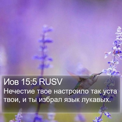 Иов 15:5 RUSV Bible Verse Image