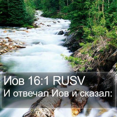 Иов 16:1 RUSV Bible Verse Image