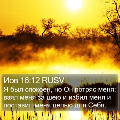 Иов 16:12 RUSV Bible Verse Image