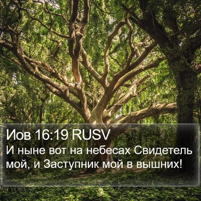 Иов 16:19 RUSV Bible Verse Image