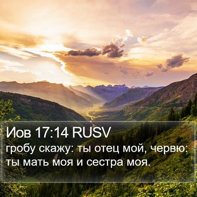 Иов 17:14 RUSV Bible Verse Image