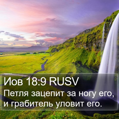Иов 18:9 RUSV Bible Verse Image