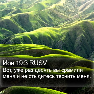 Иов 19:3 RUSV Bible Verse Image