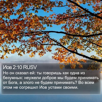 Иов 2:10 RUSV Bible Verse Image