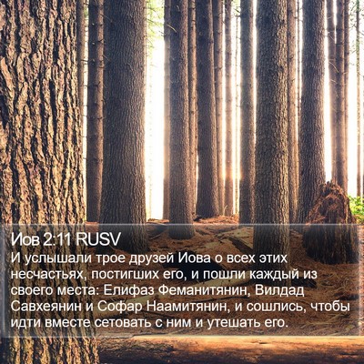 Иов 2:11 RUSV Bible Verse Image
