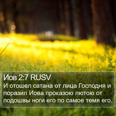 Иов 2:7 RUSV Bible Verse Image
