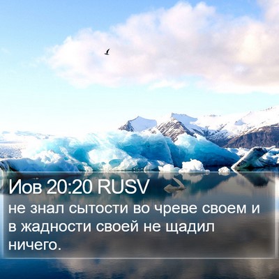 Иов 20:20 RUSV Bible Verse Image