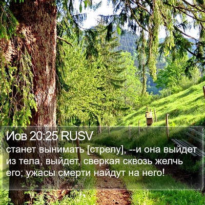 Иов 20:25 RUSV Bible Verse Image