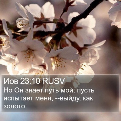 Иов 23:10 RUSV Bible Verse Image