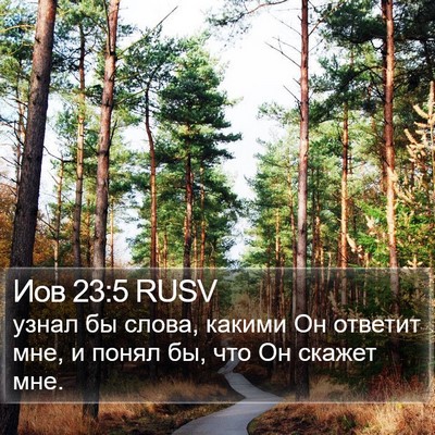 Иов 23:5 RUSV Bible Verse Image