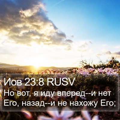Иов 23:8 RUSV Bible Verse Image