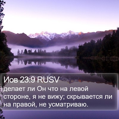 Иов 23:9 RUSV Bible Verse Image