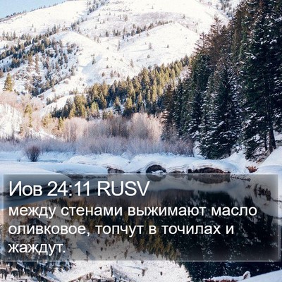 Иов 24:11 RUSV Bible Verse Image