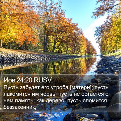 Иов 24:20 RUSV Bible Verse Image