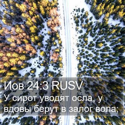 Иов 24:3 RUSV Bible Verse Image