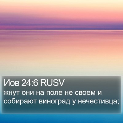 Иов 24:6 RUSV Bible Verse Image