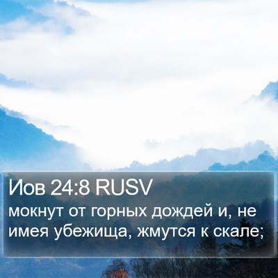 Иов 24:8 RUSV Bible Verse Image