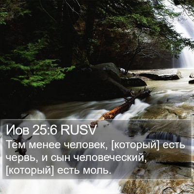 Иов 25:6 RUSV Bible Verse Image