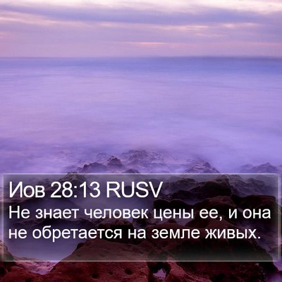 Иов 28:13 RUSV Bible Verse Image