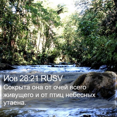 Иов 28:21 RUSV Bible Verse Image