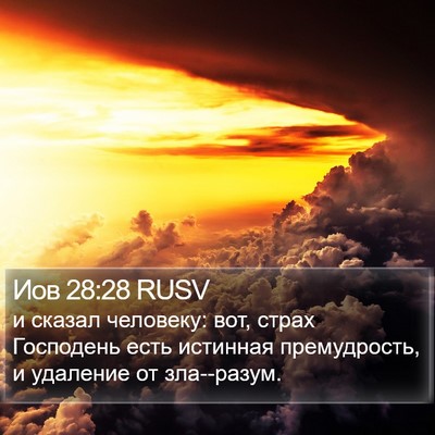 Иов 28:28 RUSV Bible Verse Image