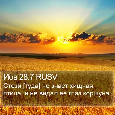 Иов 28:7 RUSV Bible Verse Image