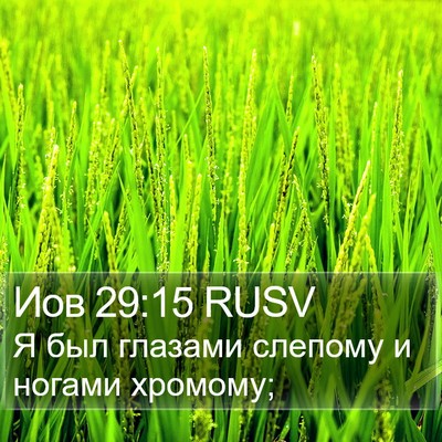 Иов 29:15 RUSV Bible Verse Image