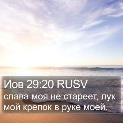 Иов 29:20 RUSV Bible Verse Image