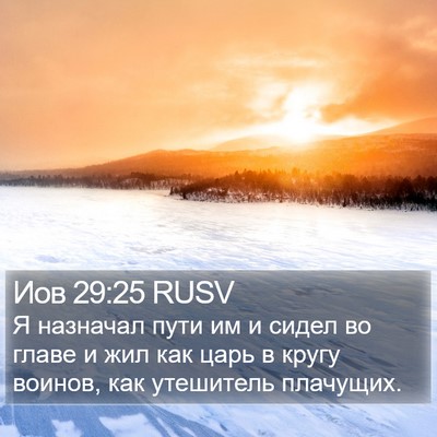 Иов 29:25 RUSV Bible Verse Image