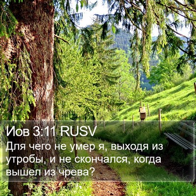 Иов 3:11 RUSV Bible Verse Image