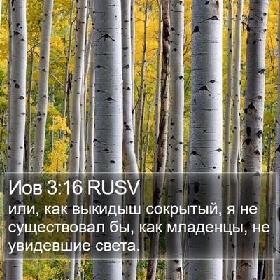 Иов 3:16 RUSV Bible Verse Image