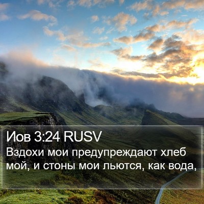 Иов 3:24 RUSV Bible Verse Image